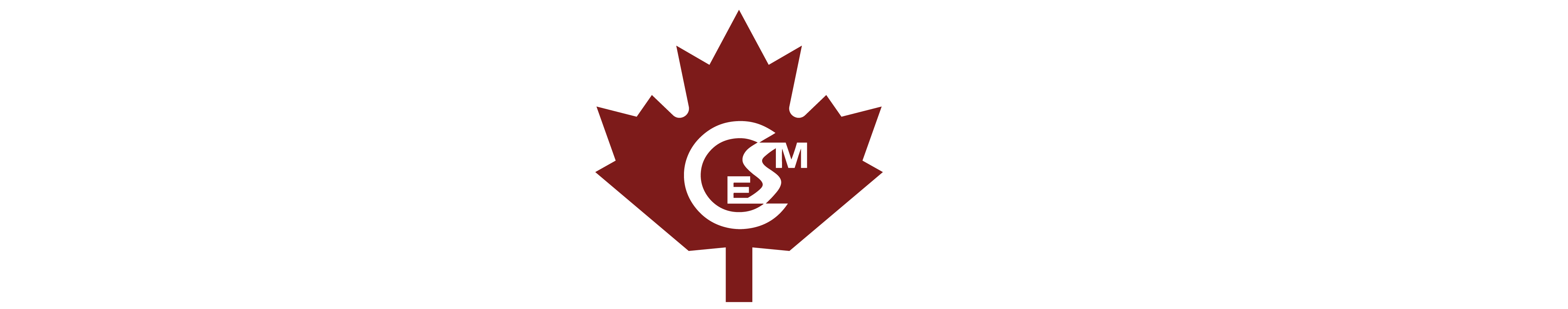 Secondary Logotype